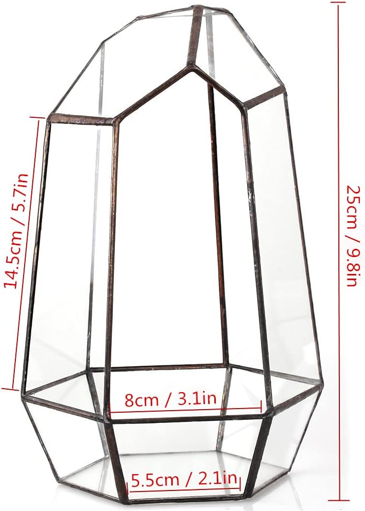 Geometric Glass Terrarium Planter, Black