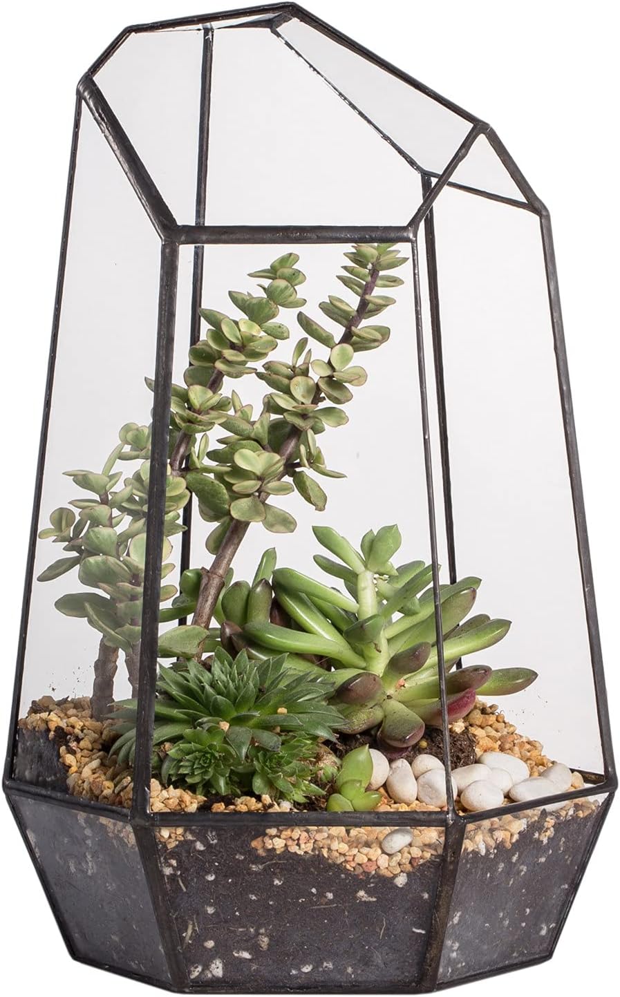 Geometric Glass Terrarium Planter, Black