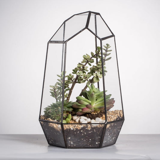 Geometric Glass Terrarium Planter, Black