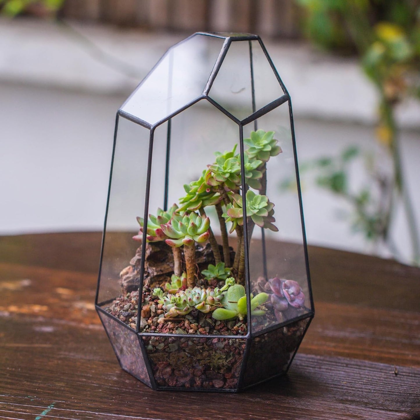 Geometric Glass Terrarium Planter, Black