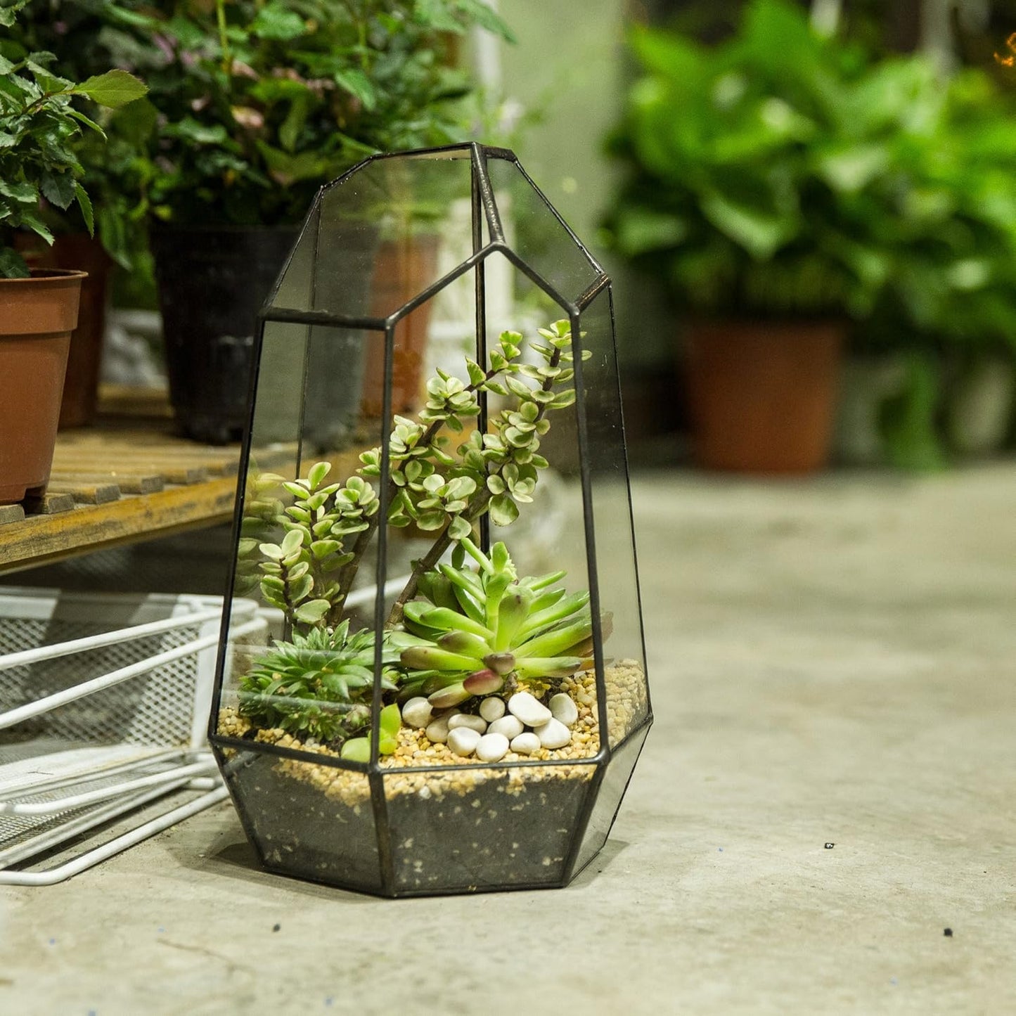 Geometric Glass Terrarium Planter, Black