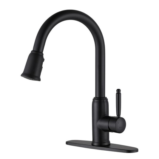 Onyx Stainless Steel Faucet